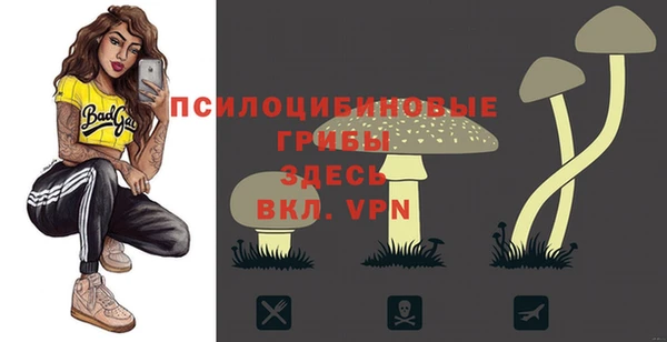 прущая мука Баксан