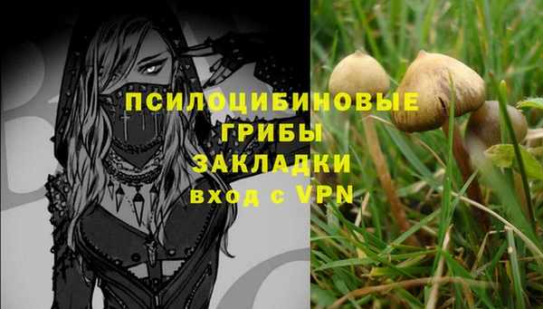 прущая мука Баксан