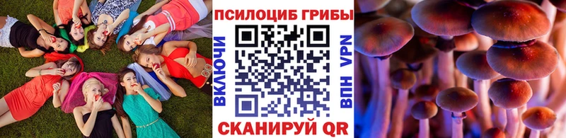 mega ссылка Туапсе Псилоцибиновые грибы Cubensis купить наркотики сайты
